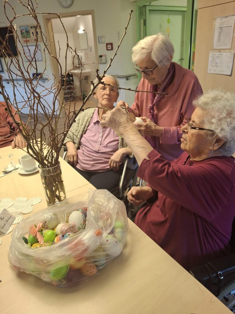 IMG-20260312-WA0046(1)